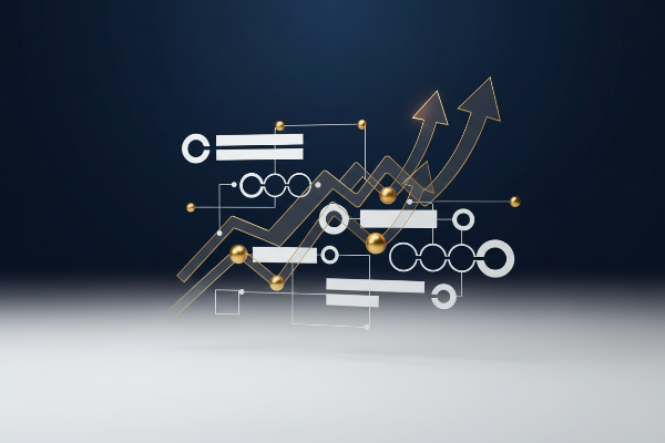 Strategic Business Operations Consulting