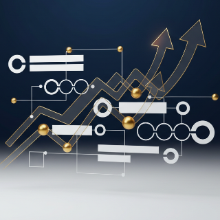 Strategic Business Operations Consulting